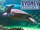 Sydney Aquarium 悉尼水族館