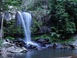 天寶林山中的瀑布 Tropical Waterfall in Tamborine
