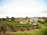 Swan Valley 天鵝谷-西澳最古老的葡萄酒產區酒莊