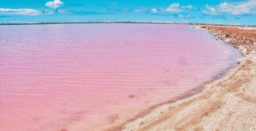 粉紅湖仙境